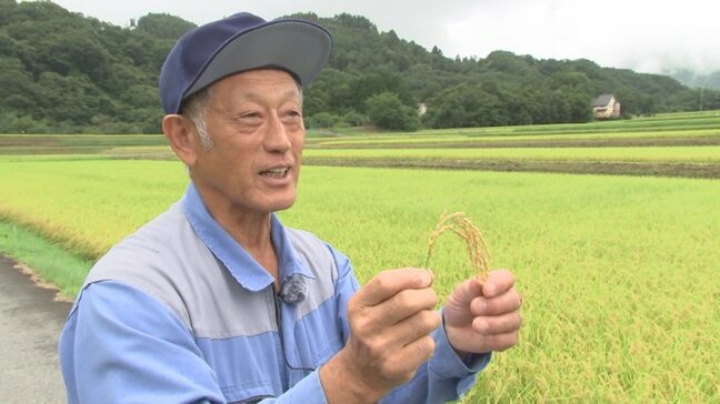 米が品薄　「消費者の方が喜んでくれれば…」　“リスクしょって”刈り取り前倒しの農家も|TBS NEWS DIG