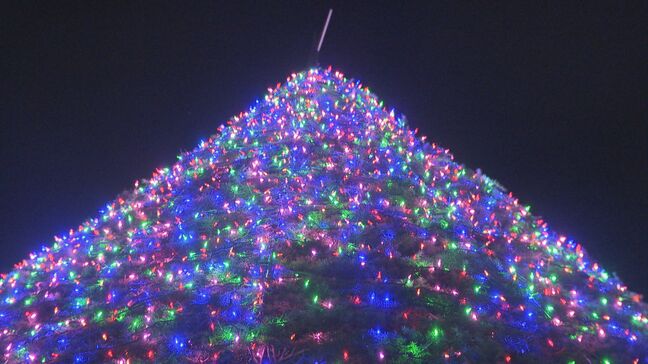 ことしは市民にも開放　大勢の人たちがクリスマスムード楽しむ　米軍岩国基地クリスマスツリー点灯式　山口県|TBS NEWS DIG