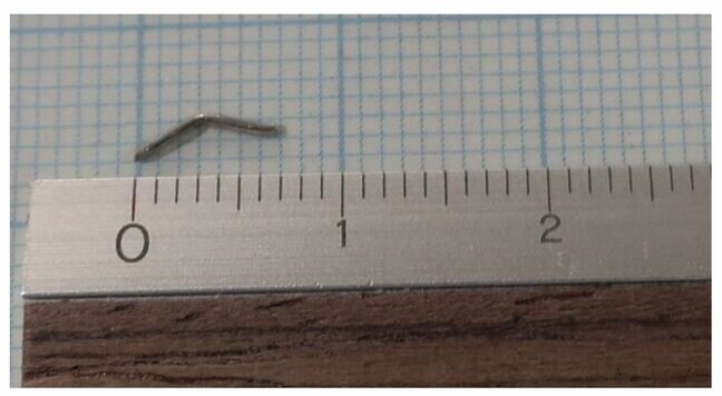 長崎市の公立中学校の給食に異物混入|TBS NEWS DIG