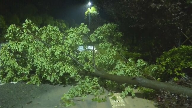 台風9号 中国・浙江省に上陸 警戒呼びかけ 台湾でも113人けが フィリピンでは土砂崩れや洪水 17人死亡|TBS NEWS DIG