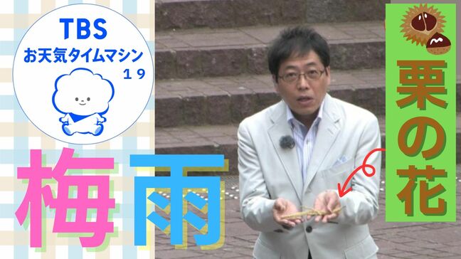 えっ？これも「梅雨」の名前なの？あじさいと身近な植物で知る梅雨入りのタイミング【気象予報士・森朗のお天気タイムマシン】|TBS NEWS DIG