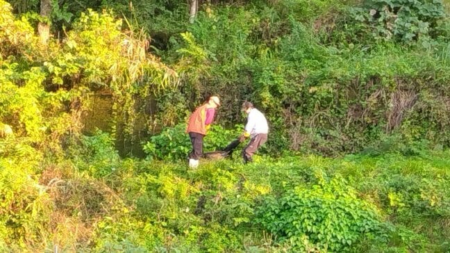 「クマがクルミを食べている」石川・白山市でクマ出没 県内初の「緊急銃猟」で駆除|TBS NEWS DIG