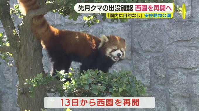 クマ出没で閉鎖の安佐動物公園西園　クマレンジャーが調査も「園内に滞在のこん跡なし」再開へ|TBS NEWS DIG