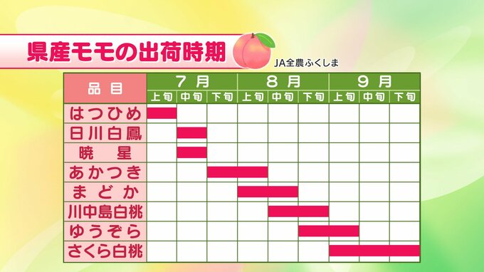 はつひめ、あかつき、まどか…いつどんな桃が食べられる？【ふくしまモモカレンダー】|TBS NEWS DIG
