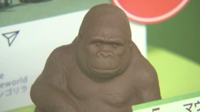 プレゼント用?自分用? バレンタインに向け“チョコレートの祭典”はじまる 売れ筋は3000円程度の商品 愛媛　|　愛媛のニュース - Nスタえひめ｜あいテレビは6チャンネル