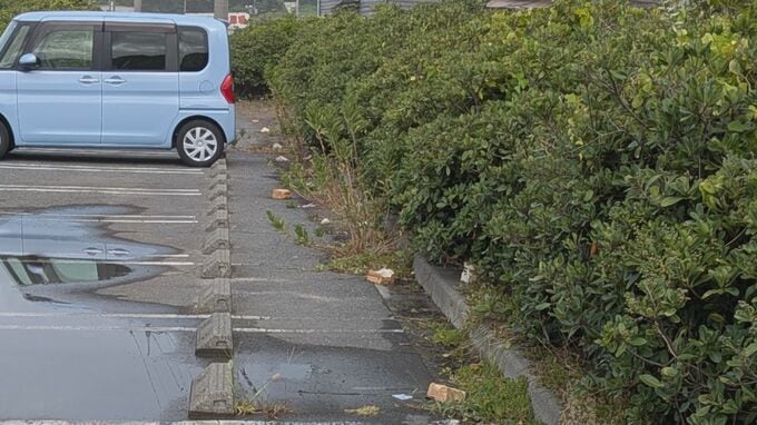 【謎事案】国立公園・大山の道路脇に食パン大量投棄…それより約半月前から、鳥取市内の道の駅駐車場で大きな食パン・鶏肉投棄が発生していた「50～60センチ間隔で食パンが置かれていて、その間に生の鶏肉が…」関連は不明　誰がなぜ？|TBS NEWS DIG