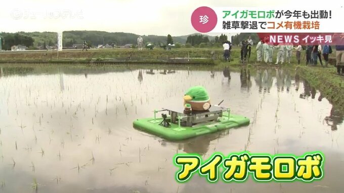 「革命だなって思ってます」アイガモロボにドジョウの助っ人　有機栽培の米づくり　富山　|　富山のニュース｜天気・防災｜チューリップテレビ