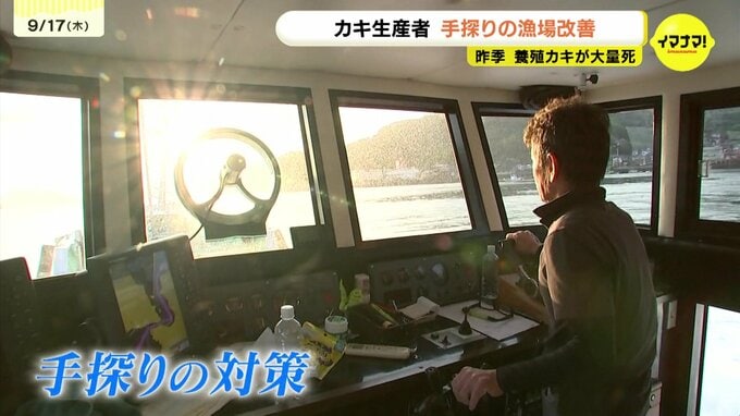 “災害級” カキ大量死に苦しんだ生産者　手探りのへい死対策　カキ殻を散布　広島・呉市　|　RCC NEWS | 広島ニュース | RCC中国放送
