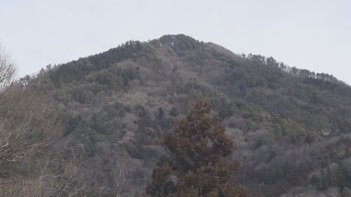 山林火災　延焼の勢いが弱まる　地上から残火処理や現場確認を進める　発生から２週間　消火活動続く　山梨・扇山