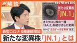 新たなコロナ変異株「JN.1」は怖い?「症状は今までと同じ」「恐れることはない」と専門家【Nスタ解説】|TBS NEWS DIG