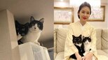 【藤あや子】愛猫マル&オレオ「もう帰りましたか?」「ニャルソック隊員」表情豊かで微笑ましい日々|TBS NEWS DIG