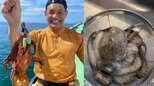 【 釣り 】照英さん「マダコ釣り」大物仕留めて満面の笑顔　飼うか迷って結局「ゆでた。食べるよ」|TBS NEWS DIG