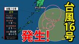 台風のたまご＝熱帯低気圧が台風へ　29日（日）までの雨・風シミュレーション|TBS NEWS DIG