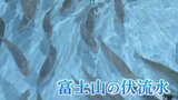 「全然違うジャンルも」IT大手グループの子会社がサーモン陸上養殖 広がる異業種参入の背景 | 山梨のニュース | UTYテレビ山梨