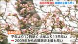 “日本三大夜桜”　高田の桜開花　観測史上最も早く　新潟・上越市　|TBS NEWS DIG