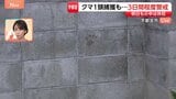 住宅敷地内にクマの足跡 宇都宮のクマ1頭捕獲も…今後3日間は警察や猟友会と警戒続ける【現場中継】|TBS NEWS DIG