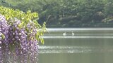 晴れの岩手県内 放射冷却で盛岡の朝は0.1℃ 日中との気温差20℃ほどになる見込み|TBS NEWS DIG