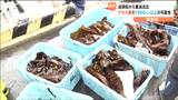 海上保安部巡視船の重油流出で 宮城・塩釜港の「養殖ワカメに被害」 1000トン以上廃棄の可能性も | 宮城のニュース│tbc NEWS│tbc東北放送