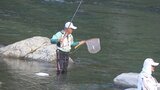 アユ釣り解禁 漁協は10トン、およそ100万匹の稚魚を放流 山梨・桂川|TBS NEWS DIG