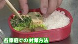 菌が繁殖しやすい「お弁当」 生野菜はNG「食中毒菌は水分に溶けたものを栄養として繁殖」高温多湿の6月は特に注意|TBS NEWS DIG