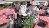 G7農相会合の関係者を花でおもてなし 宮崎県産の花を使った寄せ植えの講座|TBS NEWS DIG
