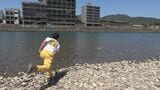岐阜・長良川で「水切り大会」 “真夏日”のなか真剣勝負 全国から131人参加 気に入った石を投げ…最高成績は「名人の部」で出た16回!|TBS NEWS DIG