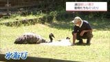美郷町で36.4℃など 宮崎県内各地で「真夏日」 県内で11人が熱中症疑いで病院搬送 連日の猛暑に動物園の暑さ対策は? | MRTニュース | MRT宮崎放送