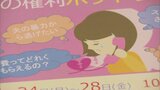 家庭内暴力やセクハラ・離婚 女性の権利に関する相談に弁護士が無料で対応 | 福岡のニュース|RKB NEWS|RKB毎日放送
