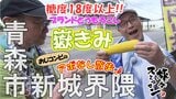 「わ~!甘みがギュっと」ブランドとうもろこし「嶽きみ」を丸かじり 岩木山麓から毎朝直売所へ 青森市新城界隈でアポなし散歩【わっち!!旅々スミマセン】9月8日放送回見逃し配信 | 青森のニュース│ATV NEWS│青森テレビ
