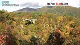 「あと1週間ほど楽しめる見込み」秋色に染まる鳴子峡 紅葉見ごろに 宮城・大崎市|TBS NEWS DIG
