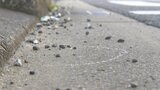 松山の重傷ひき逃げ事件 75歳女性をはね、右足骨折などの重傷負わせるも逃走 29歳介護士の男性を摘発 | 愛媛のニュース - Nスタえひめ|あいテレビは6チャンネル
