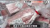 3年ぶりに2日開催!マグロの直販市始まる | 高知のニュース・天気|KUTV NEWS | KUTVテレビ高知
