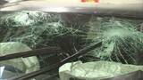 道路脇の電柱に車が衝突 乗っていた男性2人が重傷 見通しの良い直線道路【岡山】 |TBS NEWS DIG