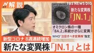 新たなコロナ変異株「JN.1」は怖い？「症状は今までと同じ」「恐れることはない」と専門家【Nスタ解説】|TBS NEWS DIG