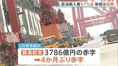 5月の貿易収支は4か月ぶり赤字　原油輸入量が6割近く減少　輸入単価は過去最高まで高騰　ホルムズ海峡など中東の情勢受け原油調達コストかさむ| TBS CROSS DIG with Bloomberg
