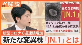 新たなコロナ変異株「JN.1」は怖い?「症状は今までと同じ」「恐れることはない」と専門家【Nスタ解説】|TBS NEWS DIG