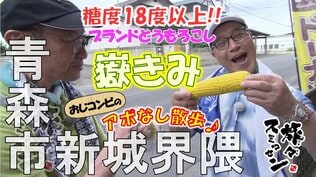 「わ~!甘みがギュっと」ブランドとうもろこし「嶽きみ」を丸かじり 岩木山麓から毎朝直売所へ 青森市新城界隈でアポなし散歩【わっち!!旅々スミマセン】9月8日放送回見逃し配信 | 青森のニュース│ATV NEWS│青森テレビ