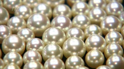 アコヤ養殖真珠 田辺真珠養殖場】8mmアコヤ真珠シルバーネックレス | 藤巻百貨店