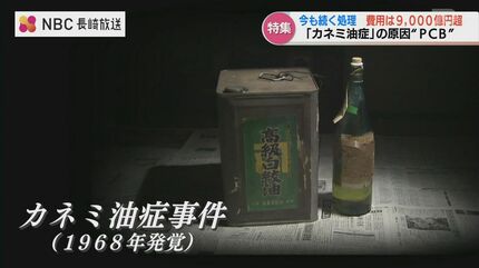 被害は子どもにも…