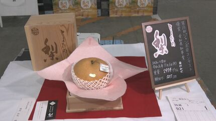 世界一重い｣梨のコンテスト 優勝した約3キロの梨は50万円で落札 甘い