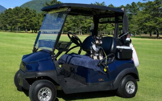 愛犬連れてのラウンドが可能に　系列ゴルフ場で初のプランを4月から販売へ　リード付けて2人乗りカートに同乗して移動　長野・軽井沢町・晴山ゴルフ場　|TBS NEWS DIG