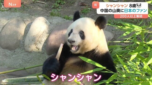 中国の山奥に日本人が行列!「上野生まれのパンダ」シャンシャンが8歳に 200人以上が駆けつけたか|TBS NEWS DIG