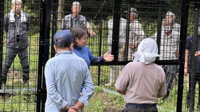 「罠を警戒すると再捕獲率が3.9%に…」イノシシ被害が増加する中 “効果的な罠の仕掛け方”は?新潟・阿賀町で研修会|TBS NEWS DIG