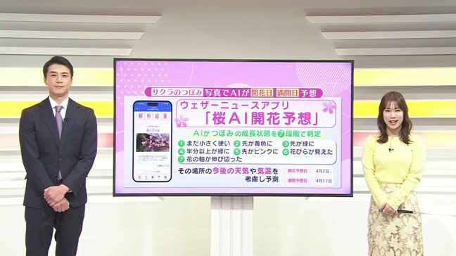 うちのサクラはいつ咲くの? スマホで撮ってAIが「開花・満開日」診断 熊本城と阿蘇で試してみた <ウェザーニュースアプリの桜AI開花予想>|TBS NEWS DIG