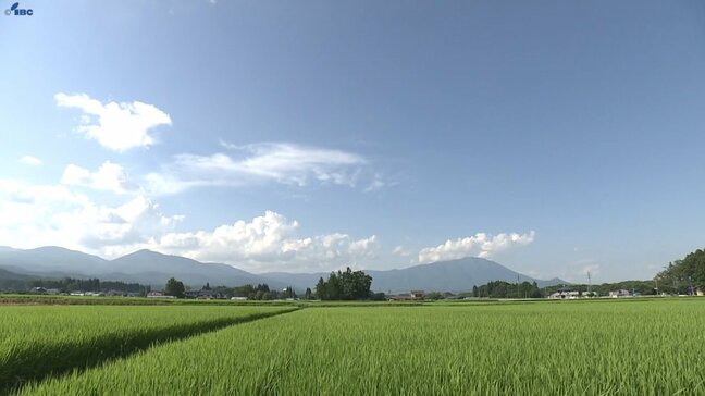 岩手県内水稲の出穂状況は82％　平年を18ポイント上回る|TBS NEWS DIG