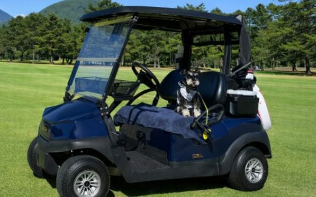 愛犬連れてのラウンドが可能に　系列ゴルフ場で初のプランを4月から販売へ　リード付けて2人乗りカートに同乗して移動　長野・軽井沢町・晴山ゴルフ場　|TBS NEWS DIG