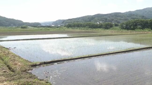 復旧支援を受け ようやく田植え コメ農家の第一歩|TBS NEWS DIG