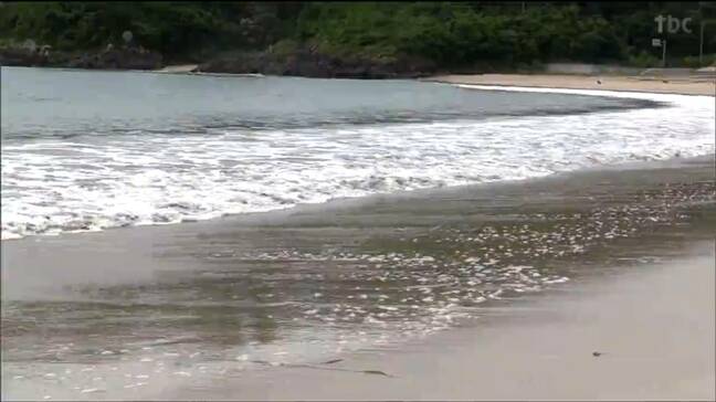 「楽しい思い出をつくって」島の海水浴場で安全祈願祭 オープンは19日から 宮城・気仙沼市|TBS NEWS DIG