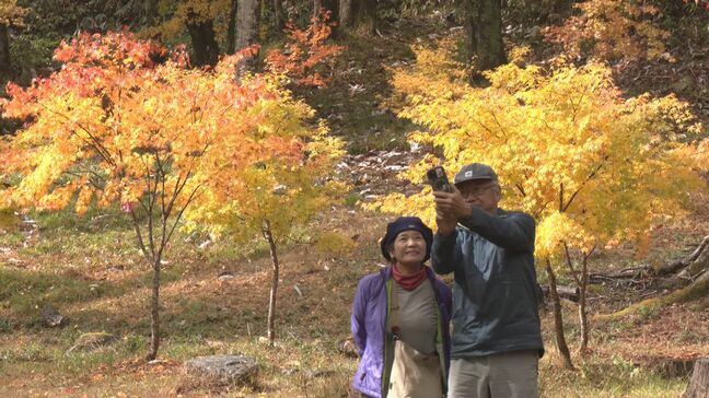 高山の紅葉見頃 奥飛騨温泉郷は雪と紅葉の競演 「飛騨・美濃せせらぎ街道」ではカエデや栃の木などが色づく 岐阜|TBS NEWS DIG