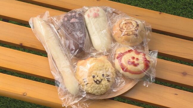 2月22日は「にゃん・にゃん・にゃん」でネコの日 ネコをモチーフとしたパンが並ぶパン屋さん「ねこパン家」 山口|TBS NEWS DIG